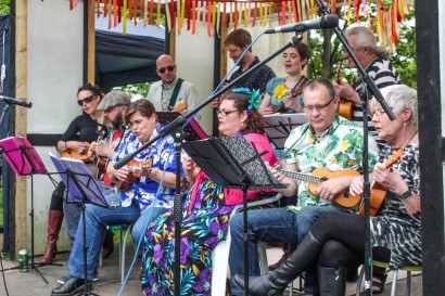 Ukelele band